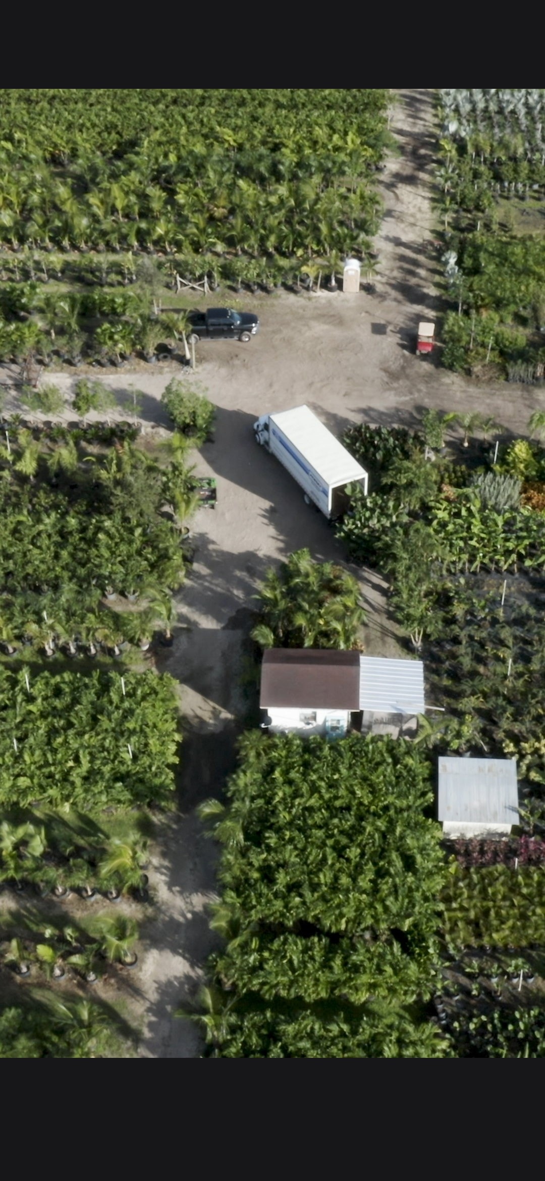 Farm team caring for tropical plants